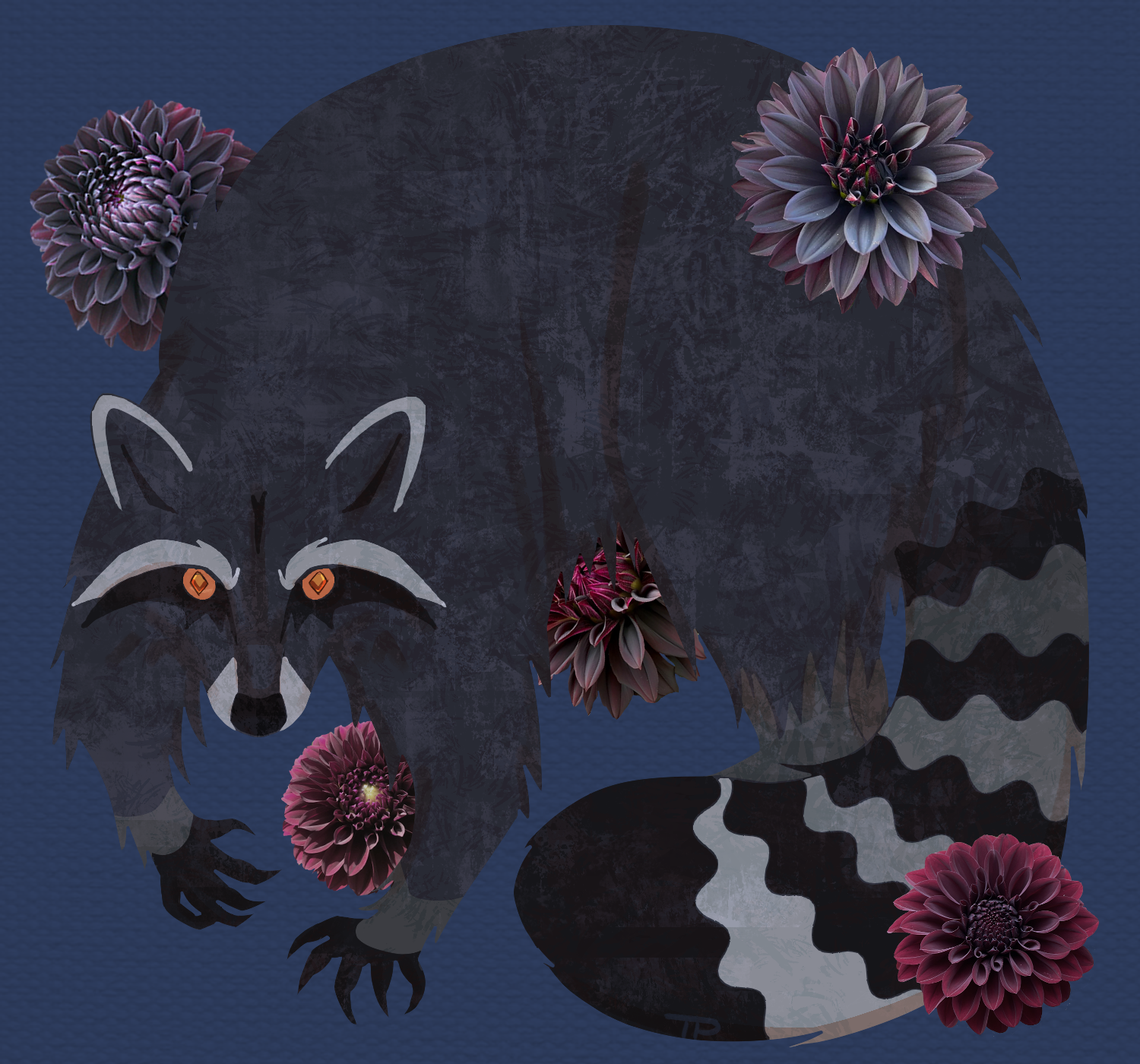 Raccoon