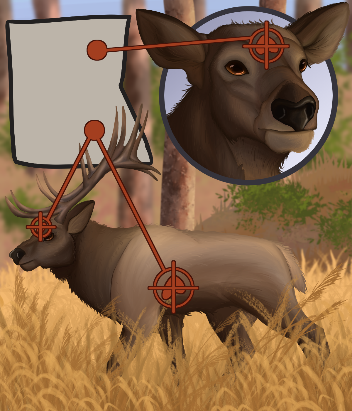 FishAndGameElkLethal