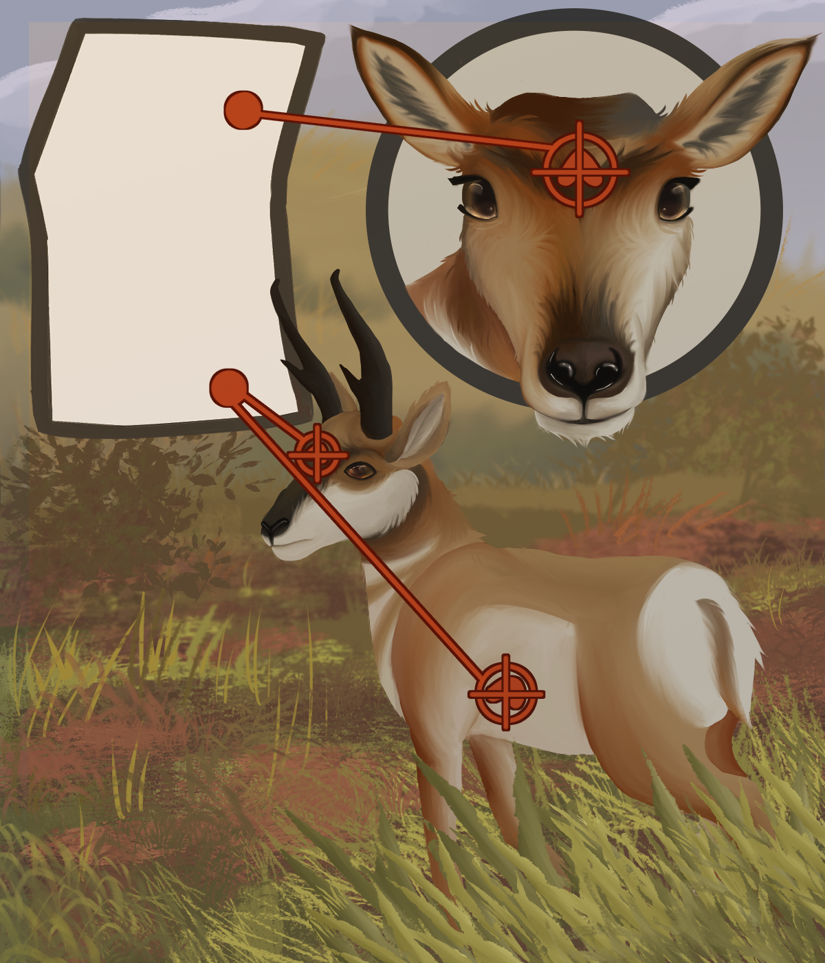 FishAndGamePronghornLethal